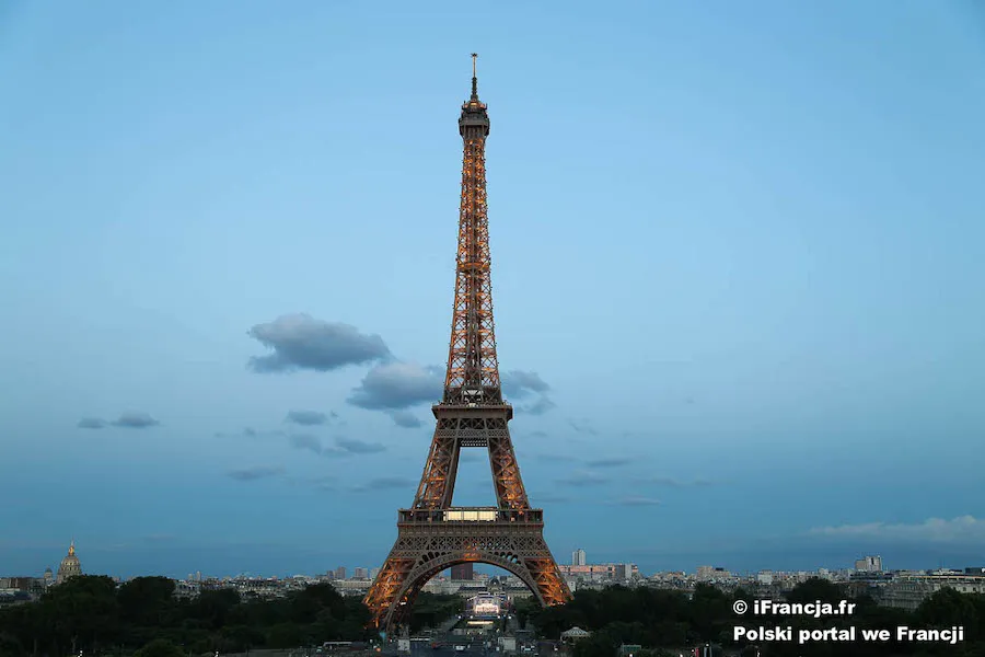 celine dion — PL news