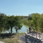 columbus — PL news