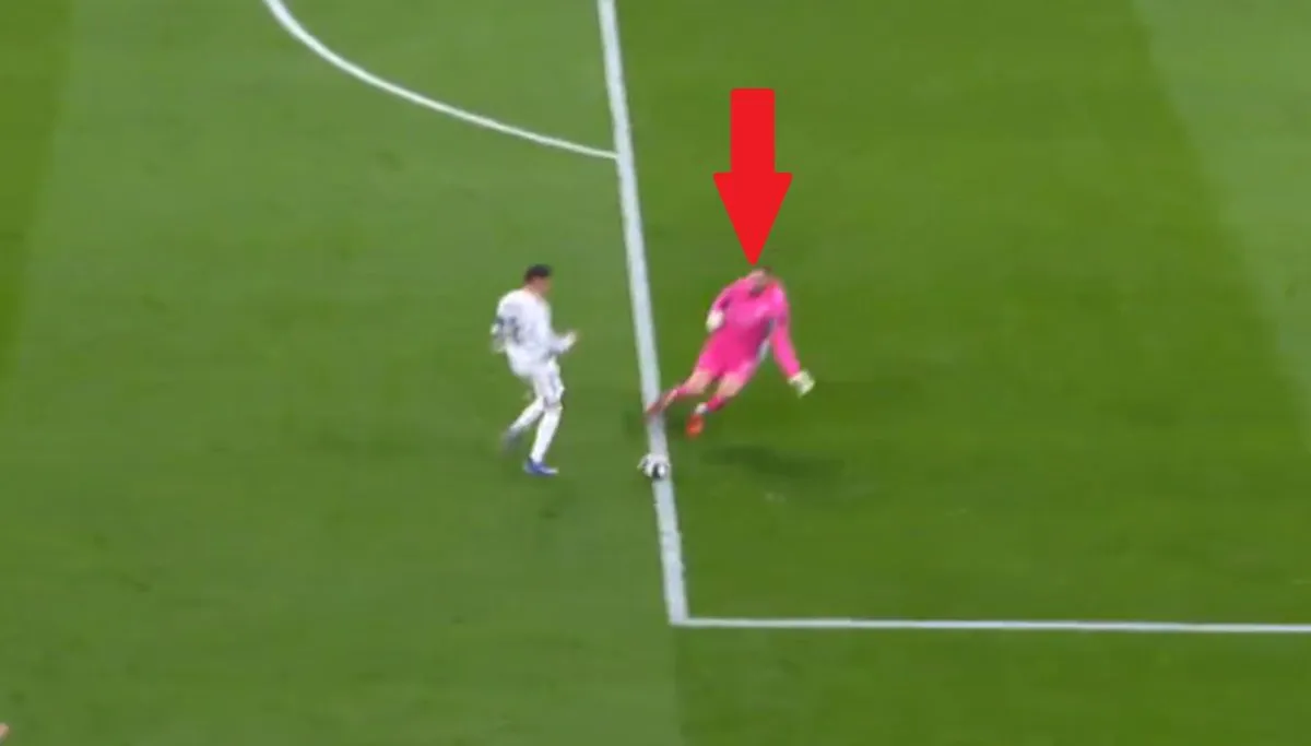 donnarumma — PL news