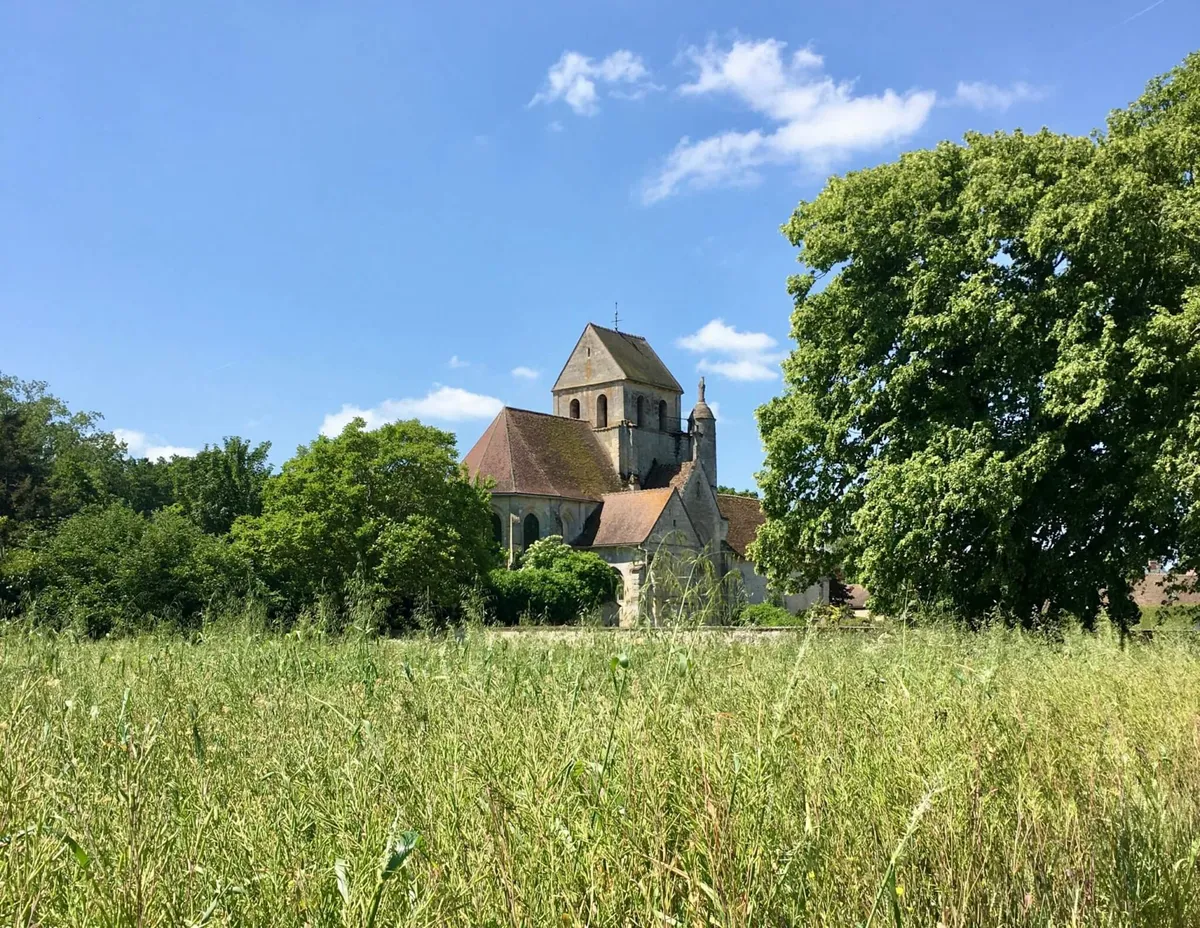 dziedzictwo — PL news