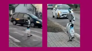 edward warchocki — PL news