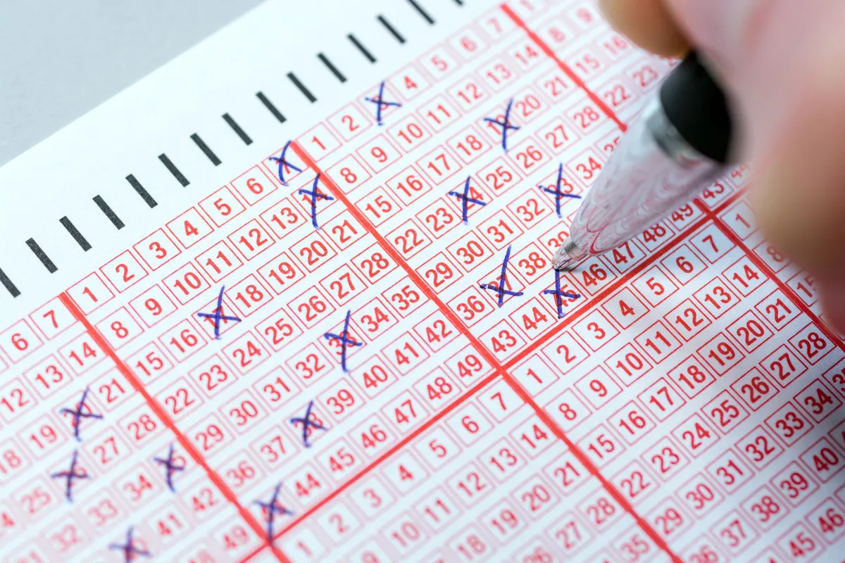 multi multi wyniki — PL news