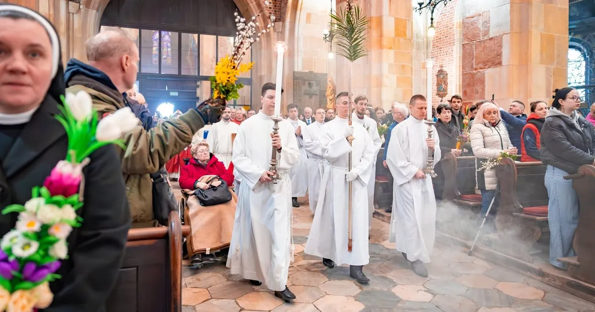 niedziela palmowa — PL news