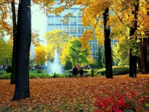 pogoda łódź — PL news