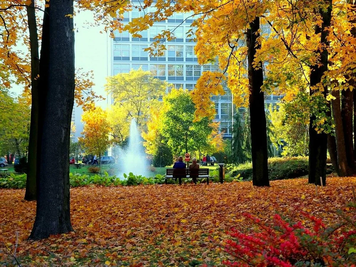 pogoda łódź — PL news