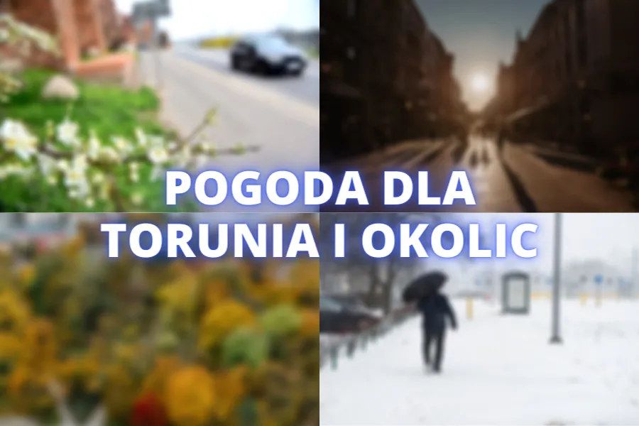 pogoda toruń — PL news