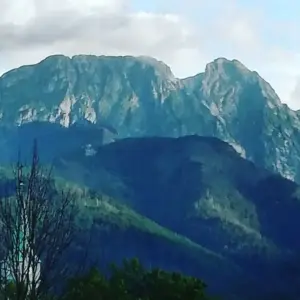 pogoda zakopane — PL news