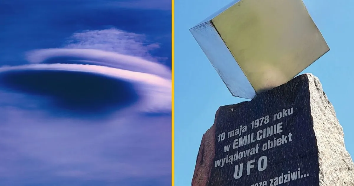 sekielski — PL news