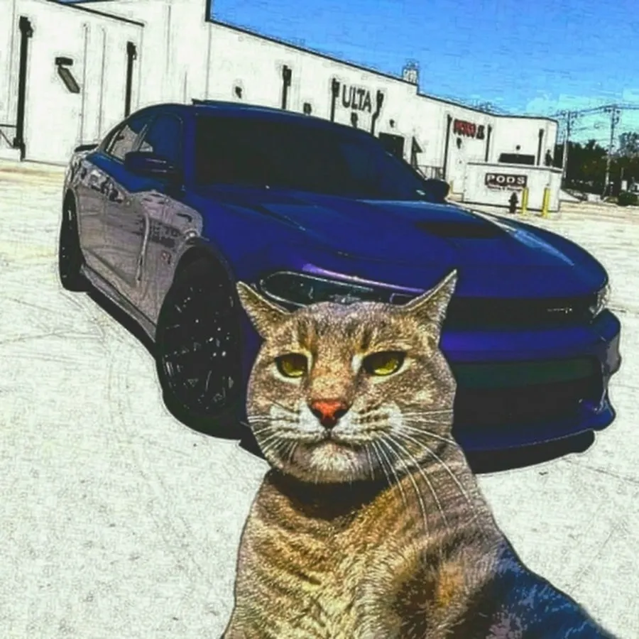 tomasz konys koni — PL news