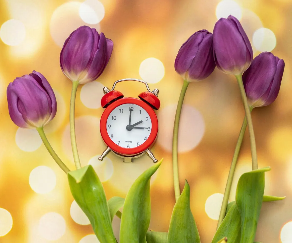 zmiana czasu — PL news