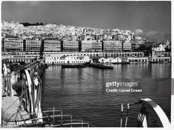 algieria — PL news