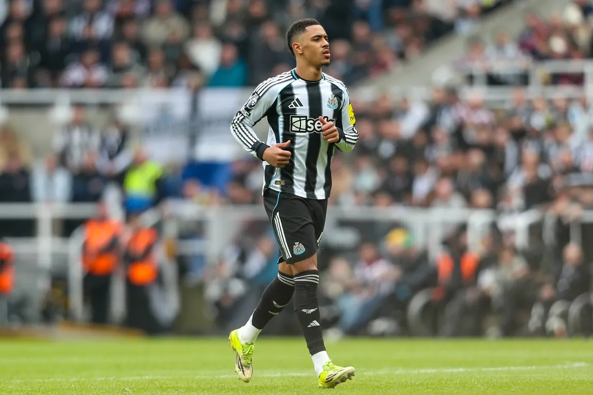 crystal palace – newcastle — PL news