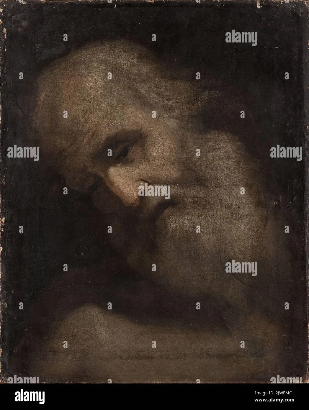 franciszek — PL news