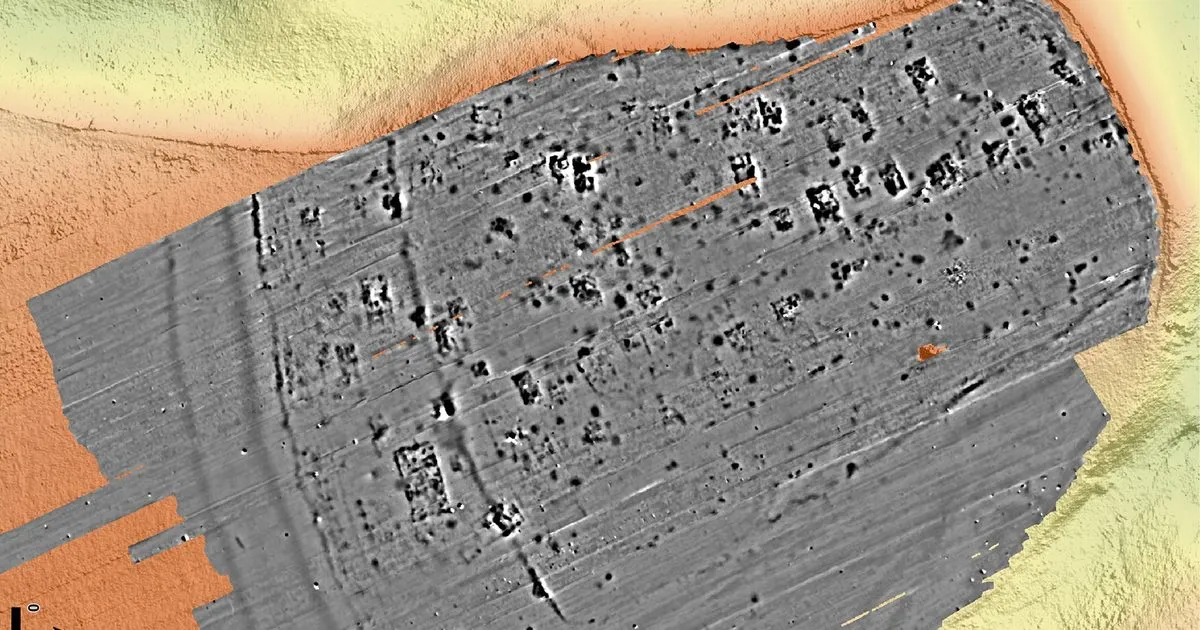 odkrycie — PL news