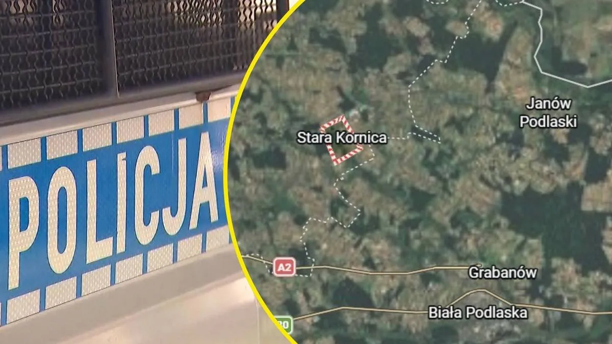 stara kornica — PL news