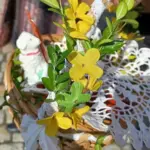 święcenie pokarmów — PL news