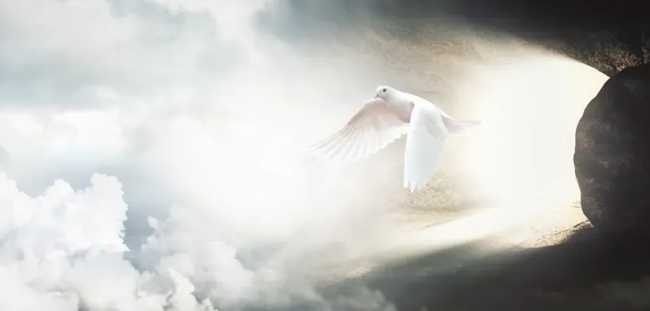 wesolych swiat wielkanocnych — PL news