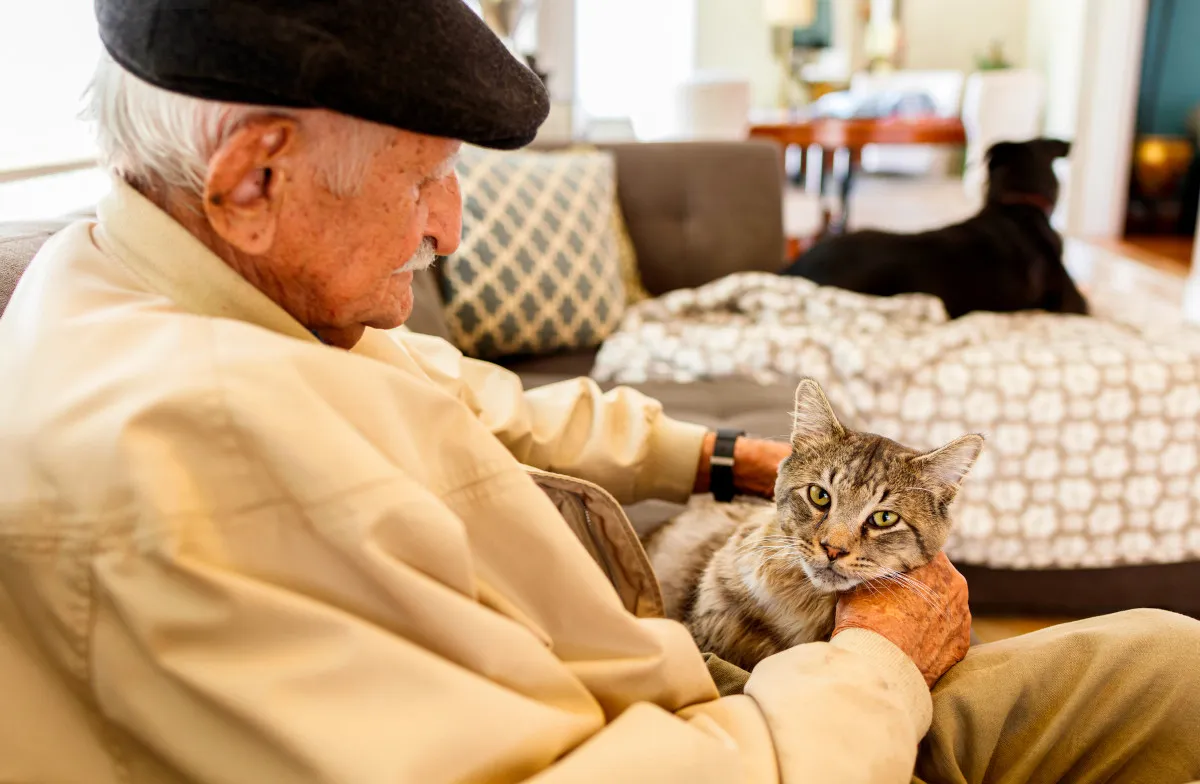 bon senioralny — PL news