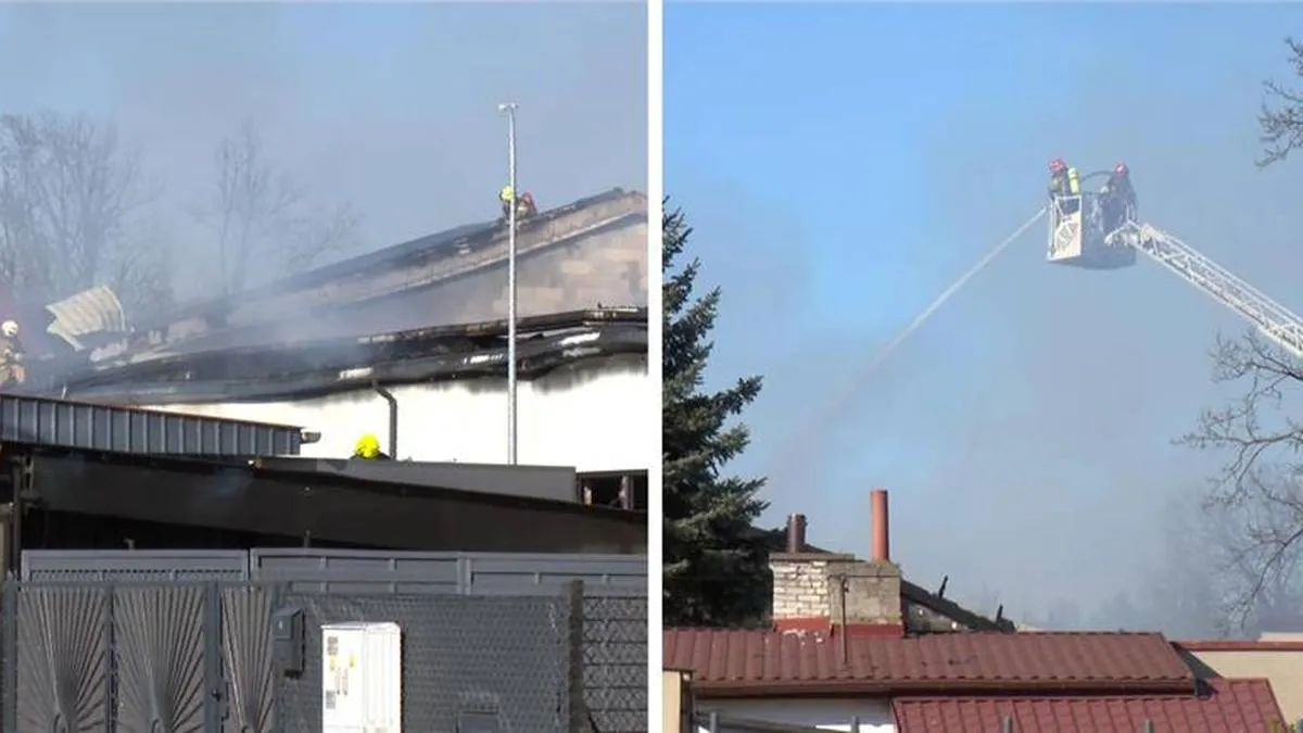 halinów — PL news