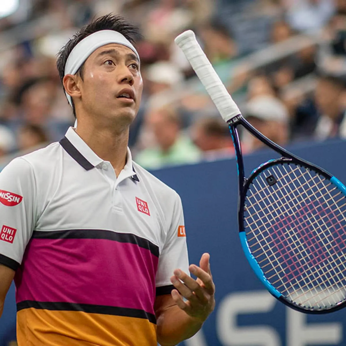kei nishikori — PL news