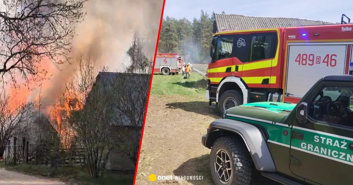 strażnik graniczny — PL news