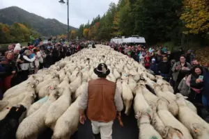 szczawnica — PL news