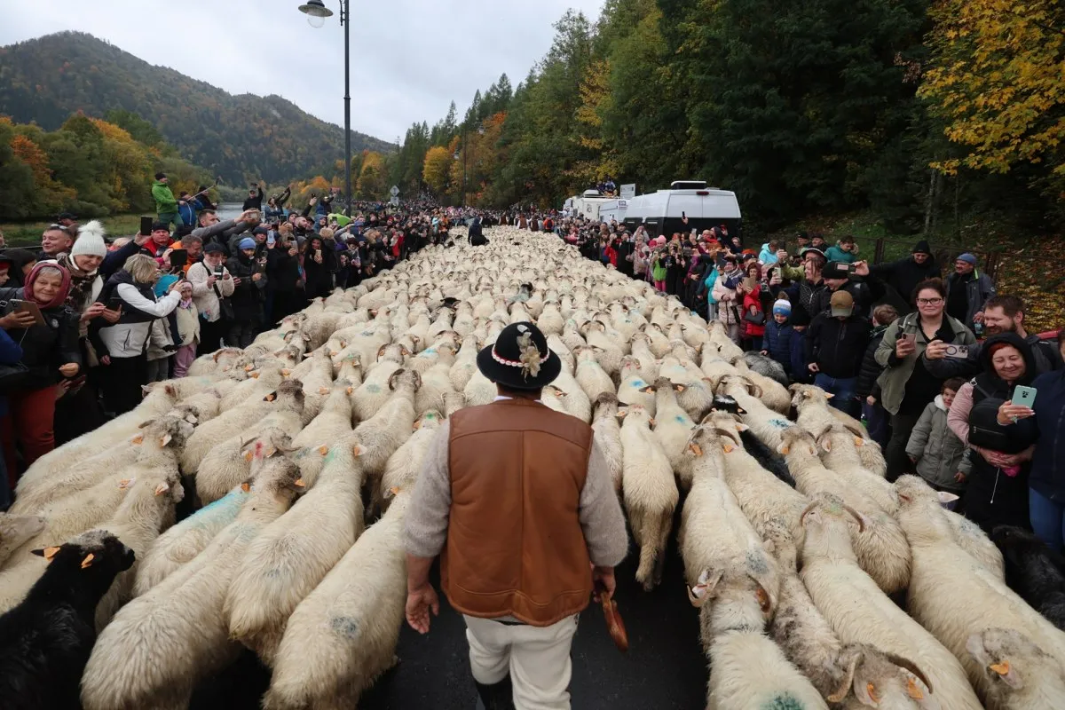 szczawnica — PL news