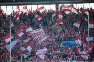union berlin – köln — PL news