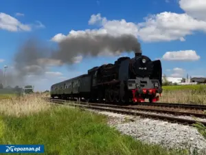 wolsztyn — PL news