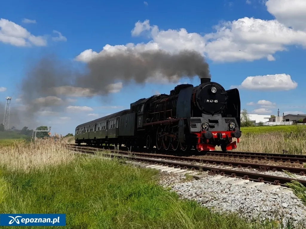 wolsztyn — PL news