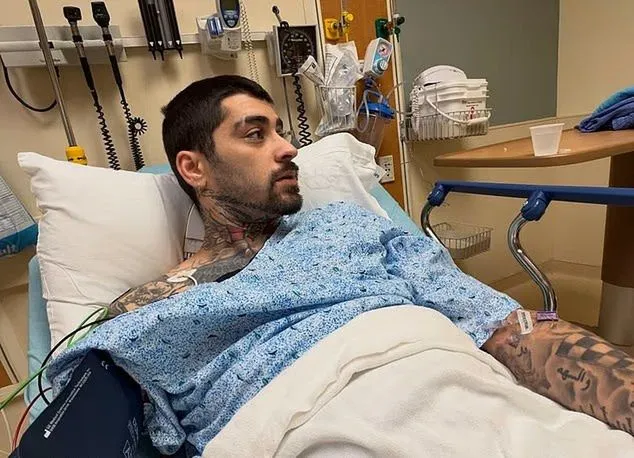 zayn malik — PL news